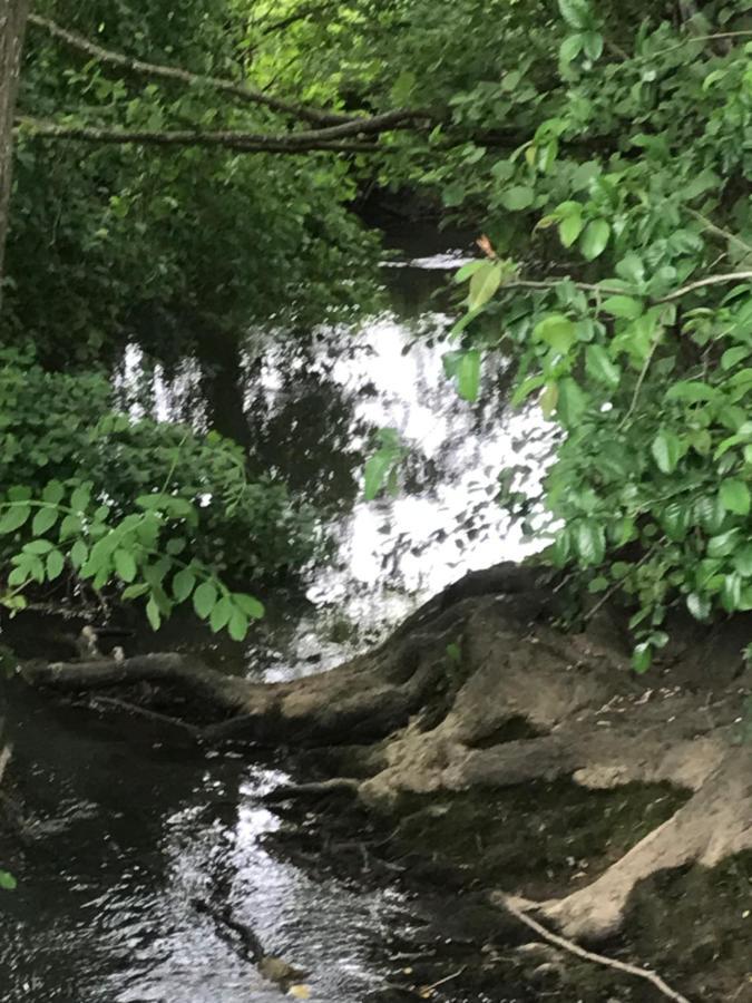 Reveil Aux Chants Des Oiseaux Asse-le-Riboul Dış mekan fotoğraf