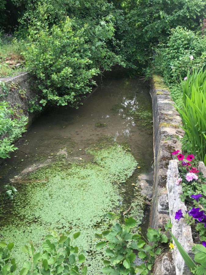 Reveil Aux Chants Des Oiseaux Asse-le-Riboul Dış mekan fotoğraf